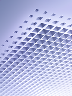 FFQ-C_FXZQ-A_detail 1.tif